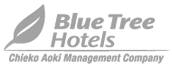 Blue Tree Hotels